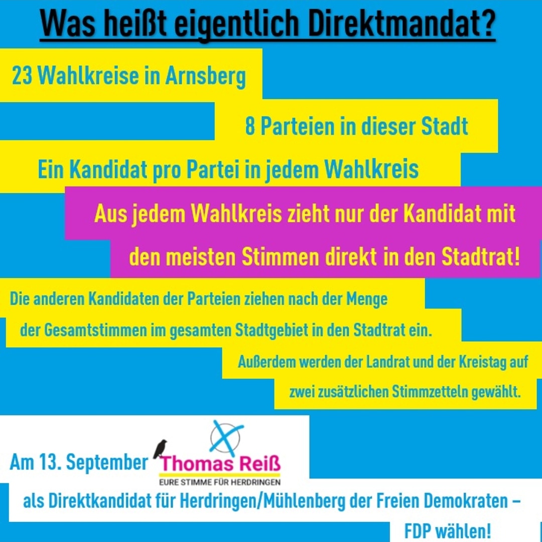 Was heißt Direktmandat?